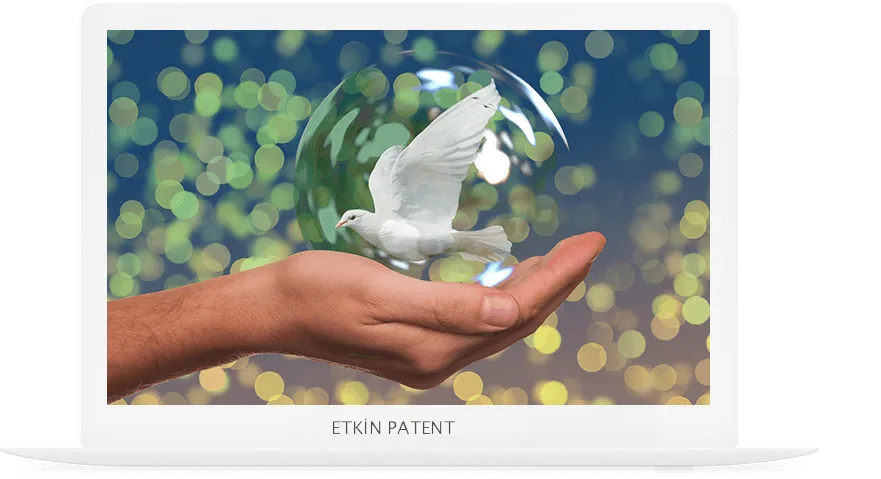 faydalı model on koruma yöntemleri-torbalı patent