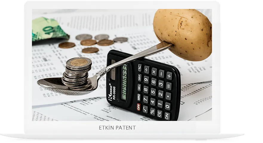 finansal davranışlara dair kombinasyon modeller-torbalı patent